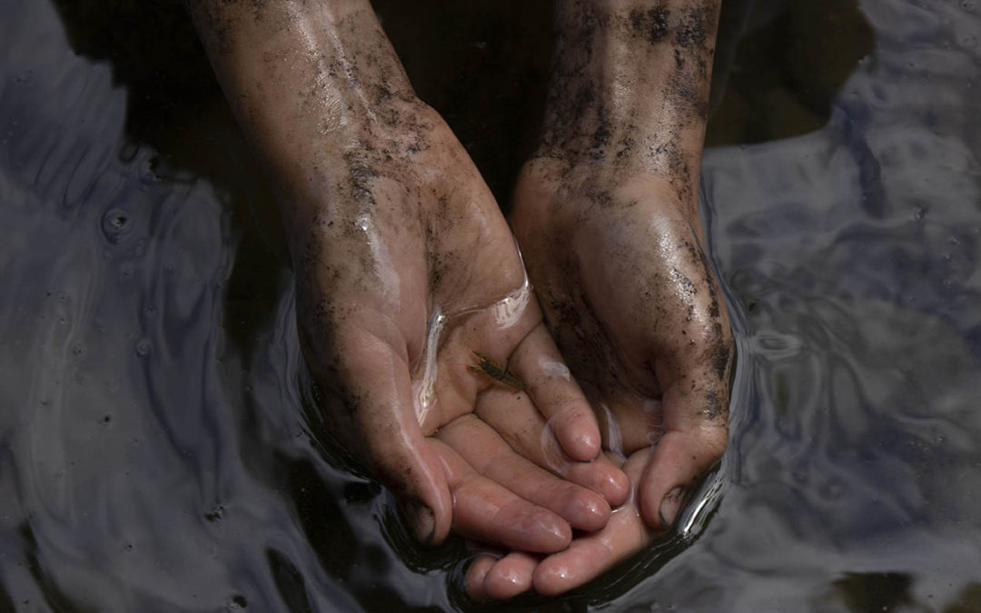 Water Returns and the Fun Continues at 4-H Acres