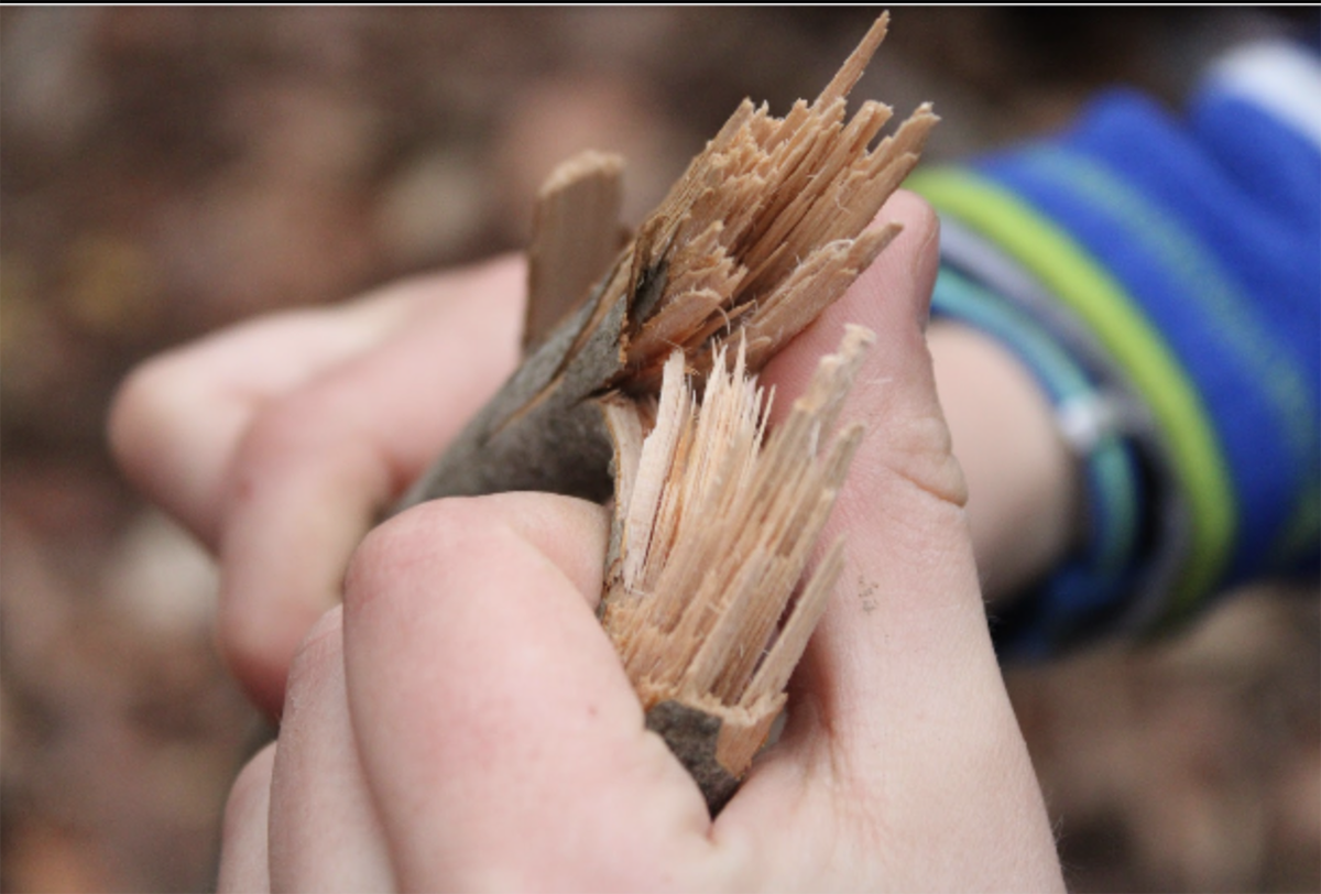 Wood, Stone, Feather, and Bone - Primitive Pursuits, Ithaca