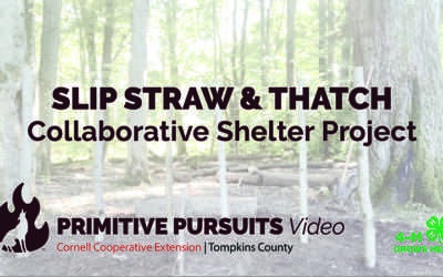 Slip Straw and Thatch Homeschool Project