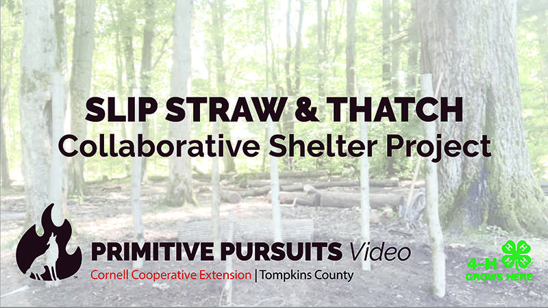 Slip Straw and Thatch Homeschool Project