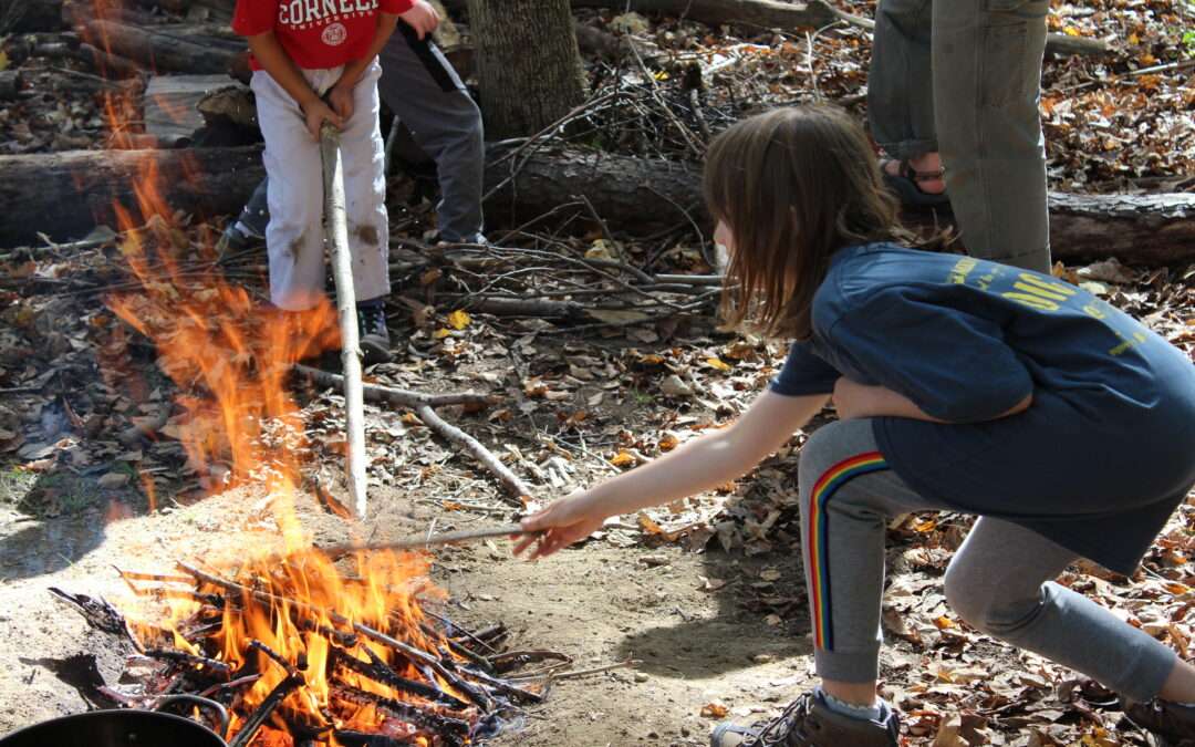 Tales from a Wonderful School Break Day, Thursday Oct 2nd 