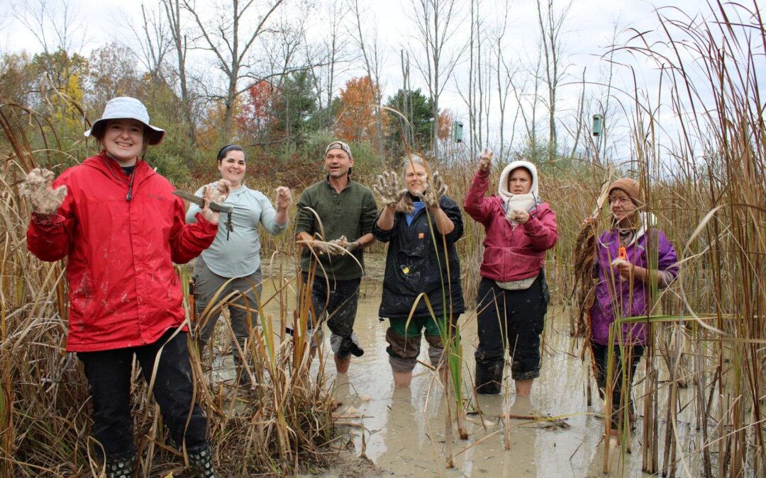 Adult Earth Skills Fall: Interview!