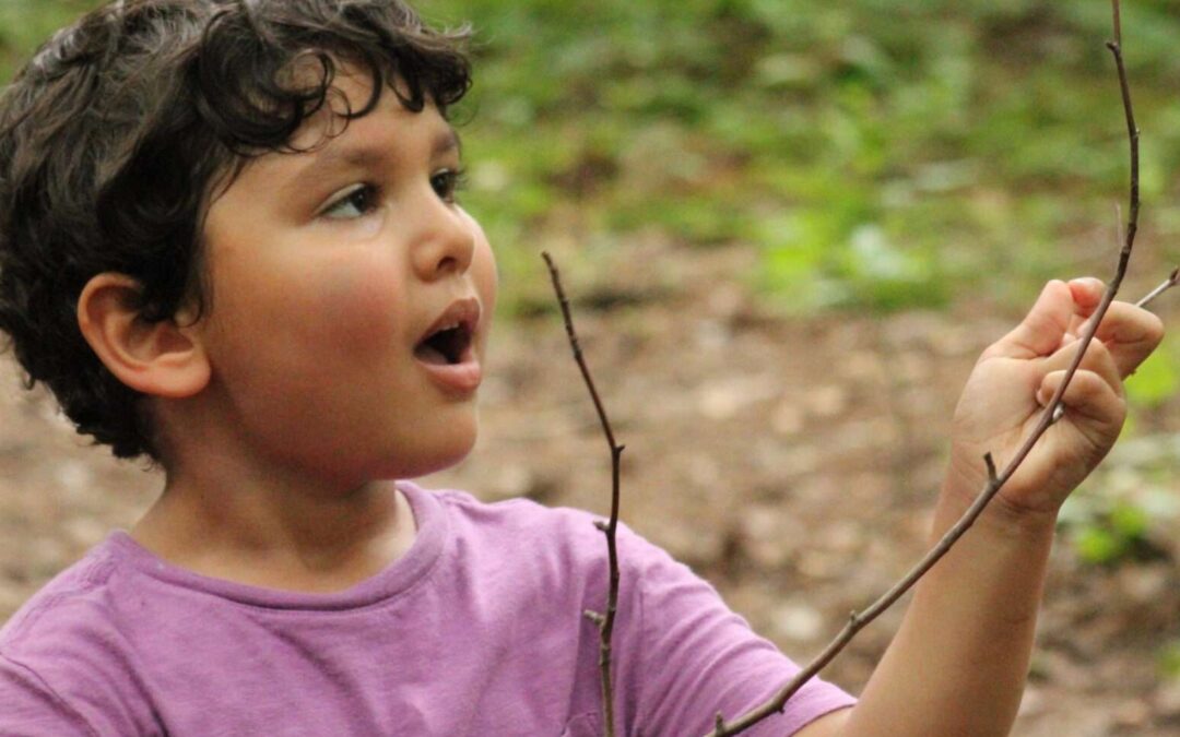 Forest Village (5-6)