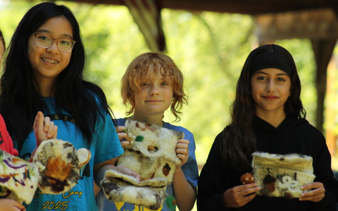 Luna’s Fire (10-12)