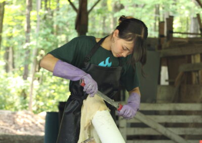 Gifts of the Deer (13-16)