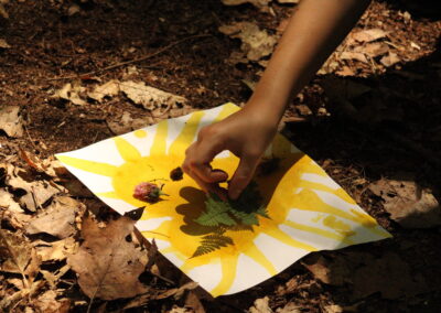 Advanced Wildcrafting (9-12)