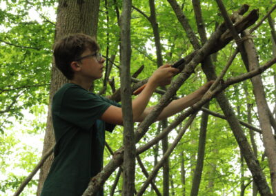 Future Primitive (9-12)