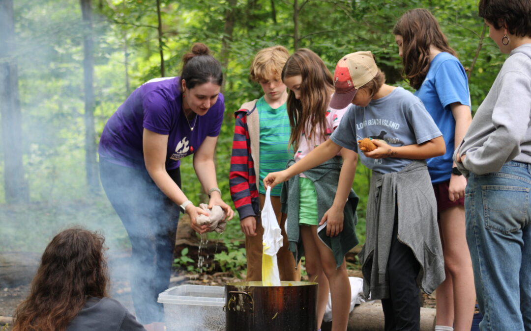 Color Foragers (11-14)