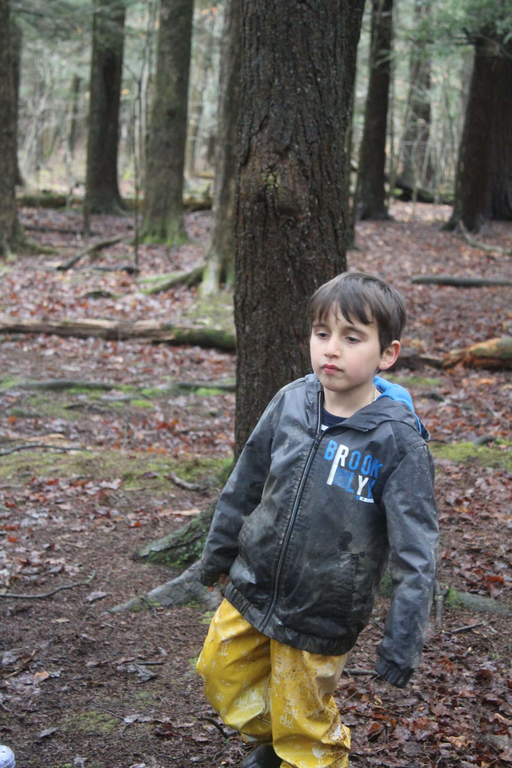 IMG_0120 Little boy wondering through the woods at camp.