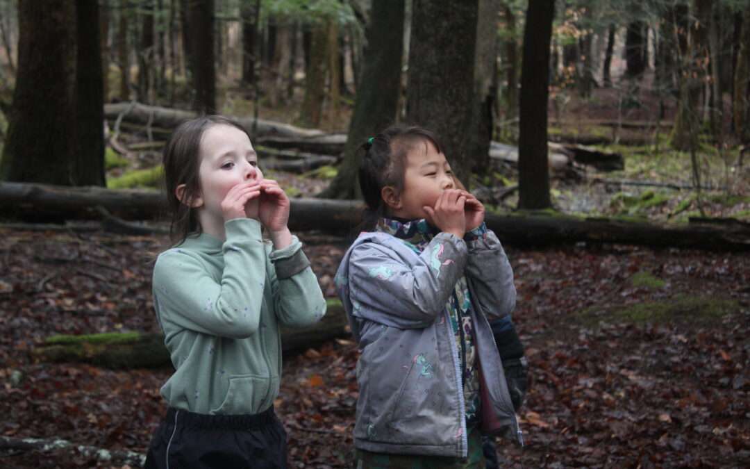 Spring Break Camp 2026 photos