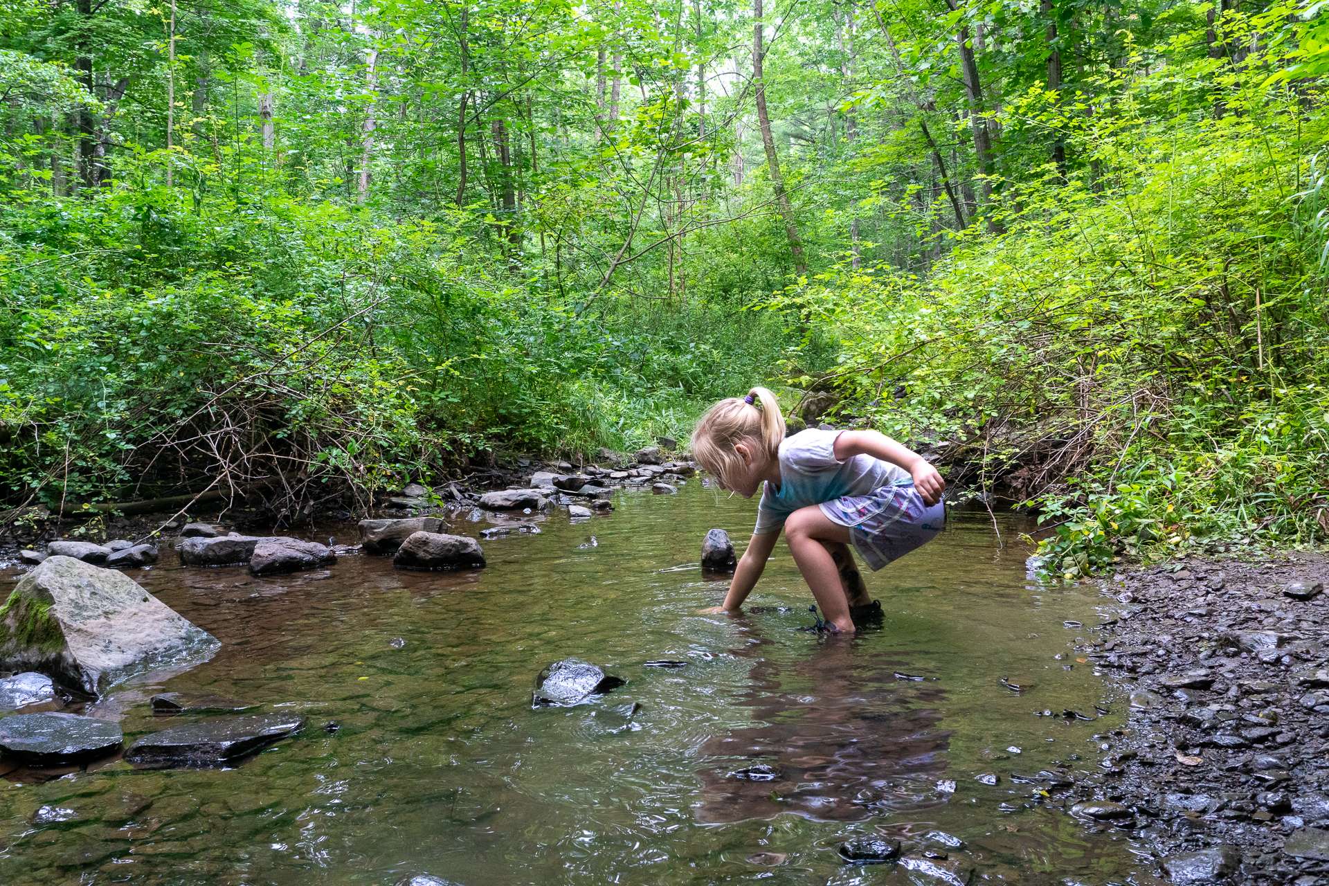 Young girl wondering by the creek and dipping her hand in to feel the water. 