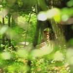 A leafy foreground in a forest with a smiling person leaning against a tree.