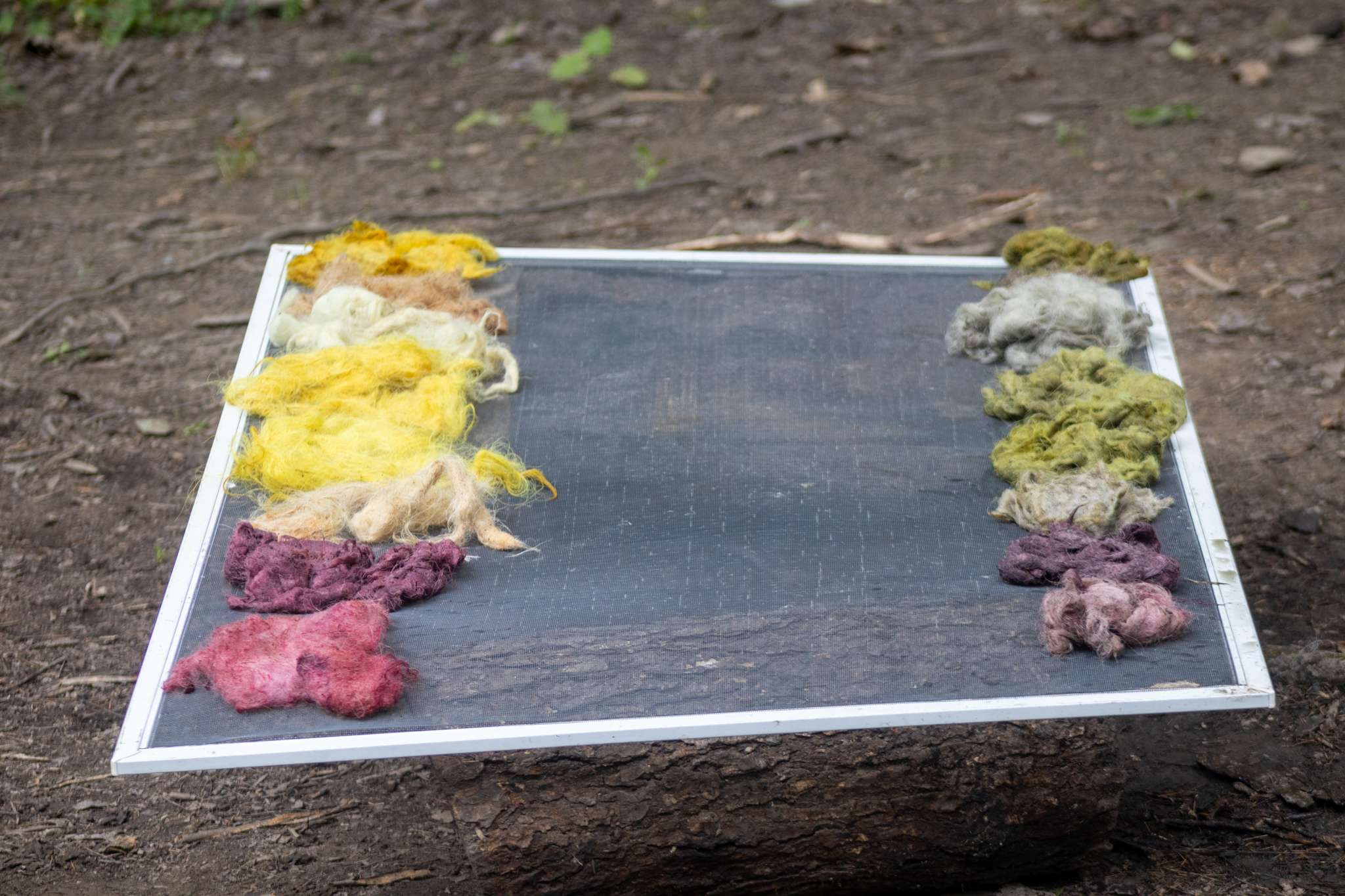 A window screen laid out over two logs with an array of dyed wool pieces on top.