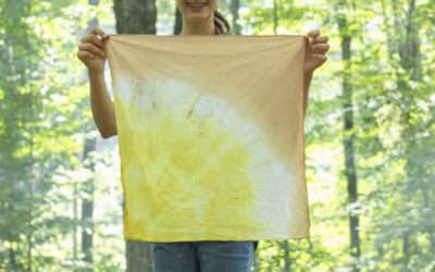 Week 8 Blog – Dying Fabric, Exploring the Cliffs, and Fire Safety!
